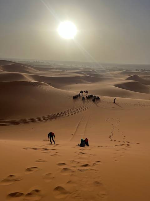Desert scene with camel caravan and sun.