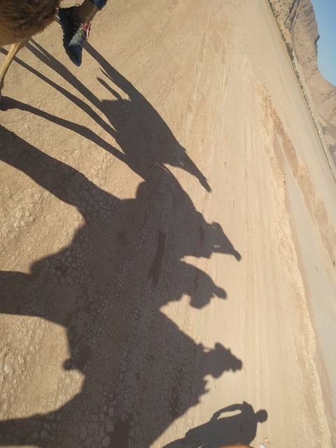 Silhouetted shadows of camels and riders on sand.