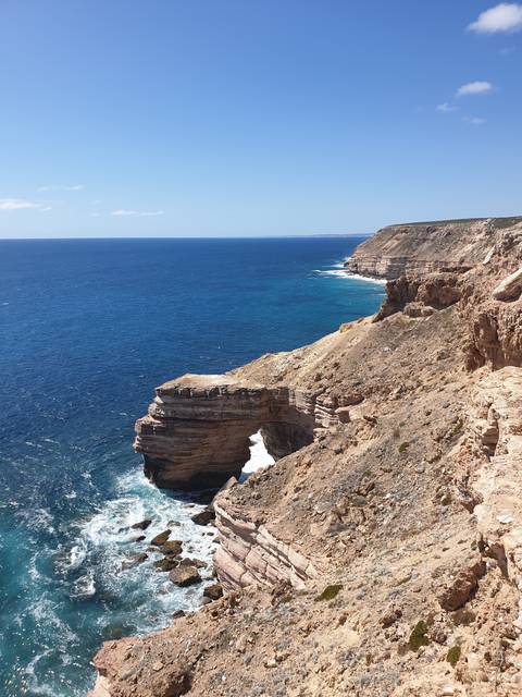       Coastal cliffs with the ocean in the background.
  