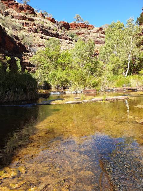       A rock-lined water stream flowing through greenery.
  