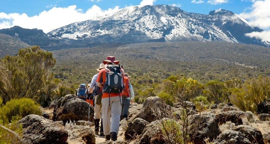 Hikers walking towards a snow-capped peak.