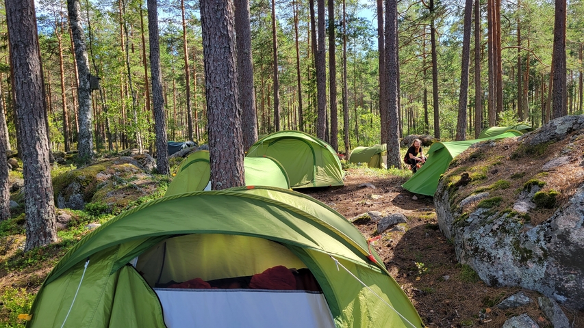 Camping site with several tents in a forest setting.