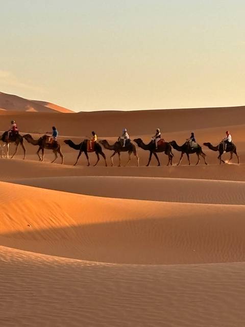 Row of camels with riders in a desert setting.