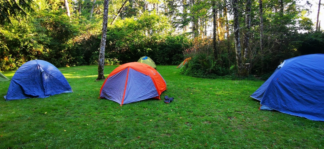 Several colorful tents set up in a grassy area surrounded by trees.