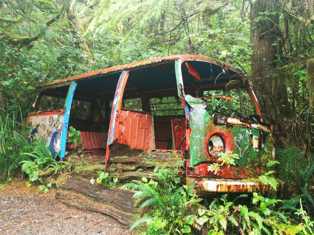An abandoned, rusted vehicle in a forest.