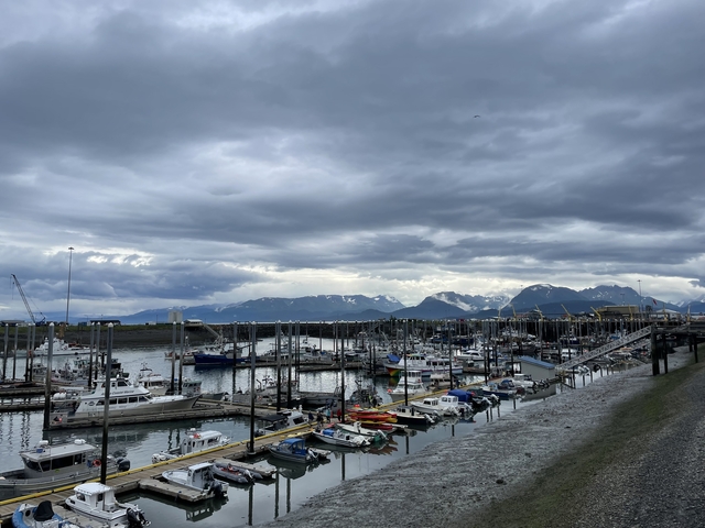       Boats docked in a harbor with mountain background.
  
