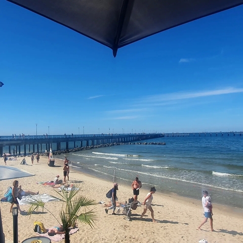 A beach scene with a pier and people enjoying the sun.