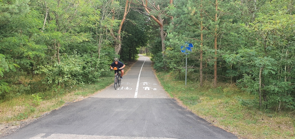 A person cycling on a forested trail.