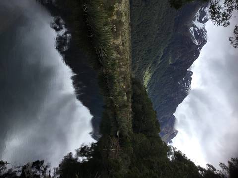       A reflection of mountains and trees in a calm body of water.
  