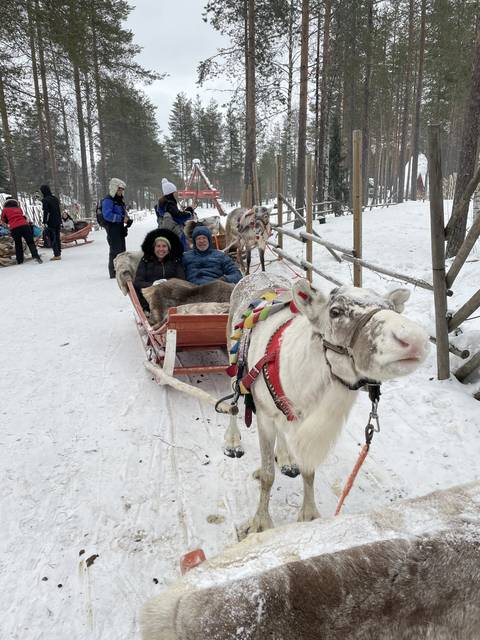 Group of people on a reindeer sled ride in the snow.