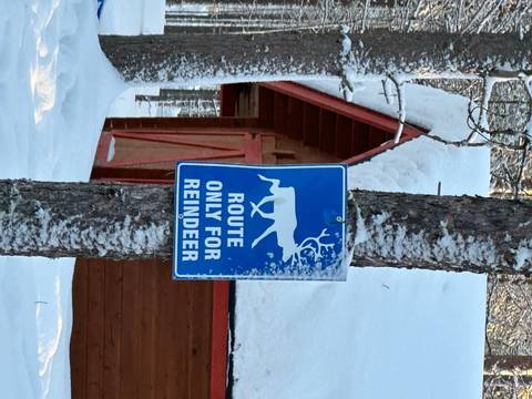       Sign for reindeer route on a snowy tree.
  