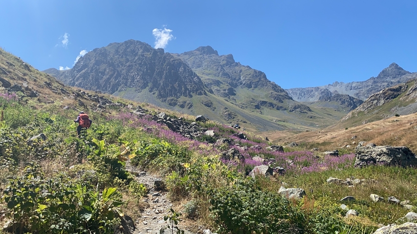 Hiker on a trail with mountains and wildflowers.