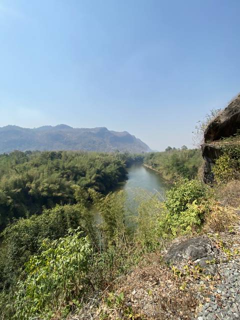 A river running through lush vegetation from a high vantage point.