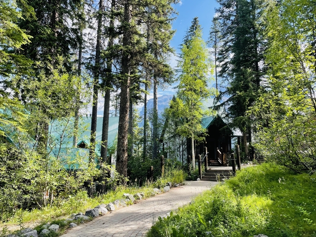       Wooded area with cabins and mountain views.
  