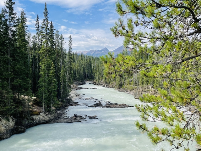       River cutting through a dense forest with mountains in the distance.
  