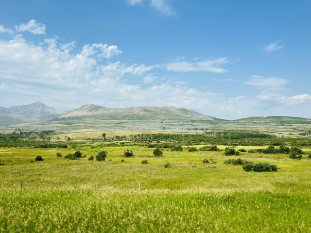       Open field with rolling hills and a cloudy sky overhead.
  