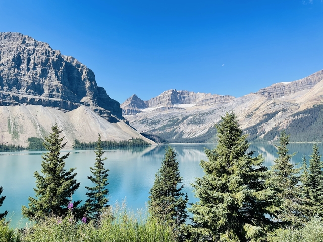       Calm lake with surrounding mountains and trees.
  
