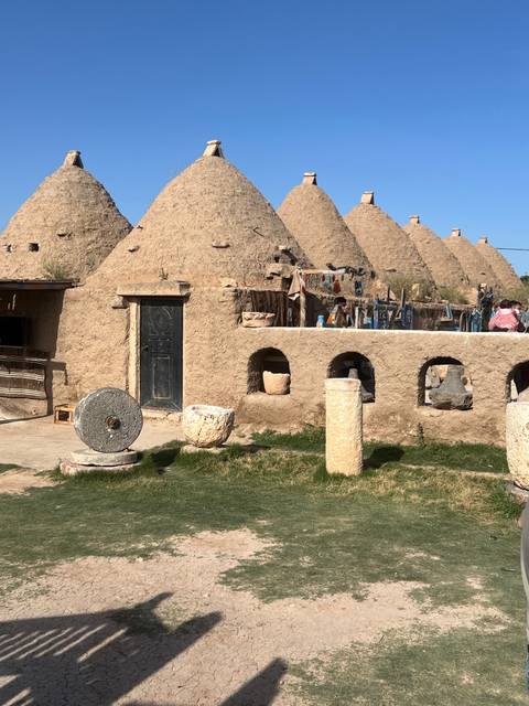       Traditional beehive houses in a village.
  