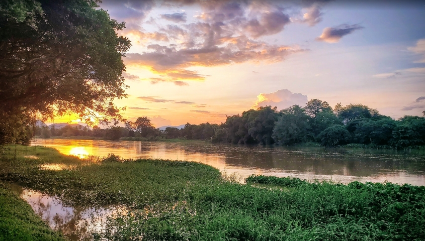       A serene river landscape during sunset with lush greenery.
  