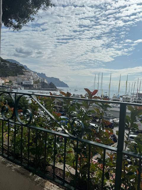 A view through a metal fence showing a city and marina.