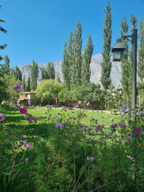 Garden with lush green trees and vibrant flowers, surrounded by mountains.