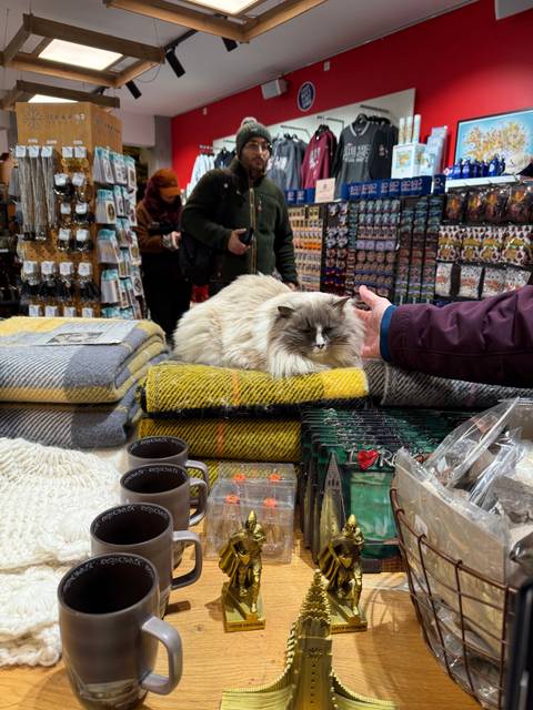Store interior with a fluffy cat and various trinkets.