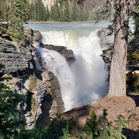 Powerful waterfall cascading down rocky cliffs.