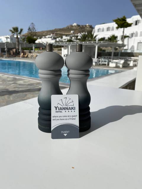       Salt and pepper shakers with a poolside view.
  
