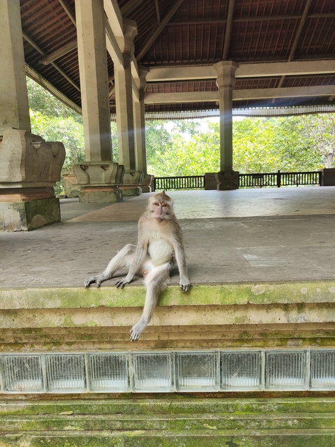 Itinerary Image 7