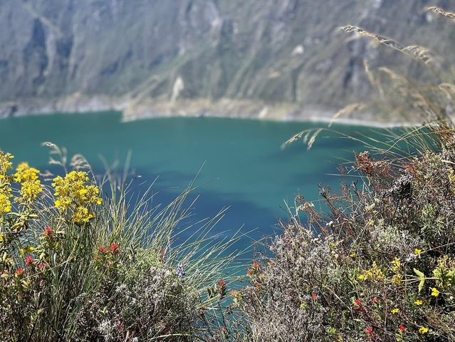       Bright wildflowers in front of a blue-green lake.
  