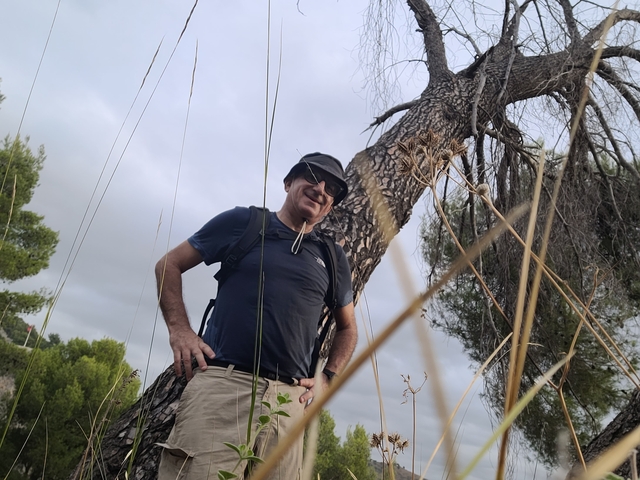       Person smiling at a tree, wearing sunglasses and a hat.
  