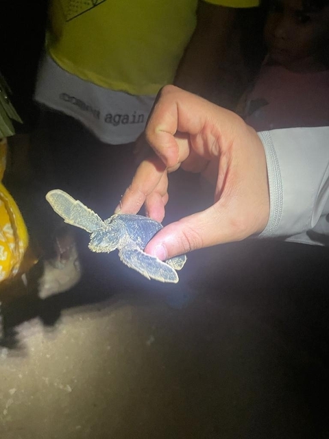       Photo d'avis client sur Tour Farah - 4 jours 
  