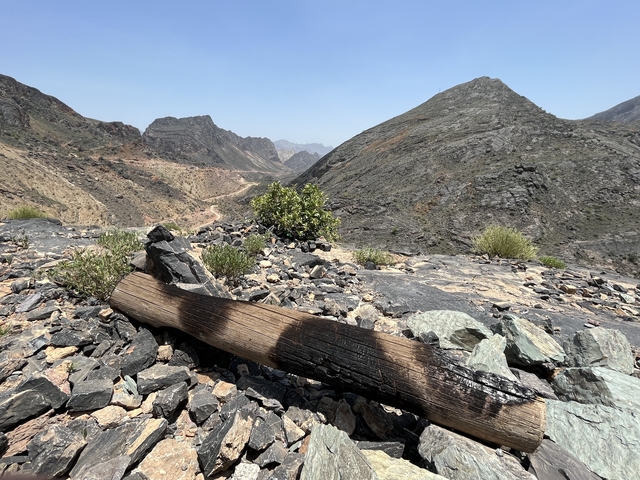       Rocky mountainous landscape with a dry tree trunk in the foreground.
  