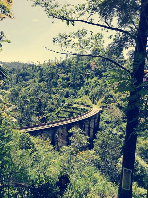 Scenic view of the Nine Arch Bridge amidst lush greenery.