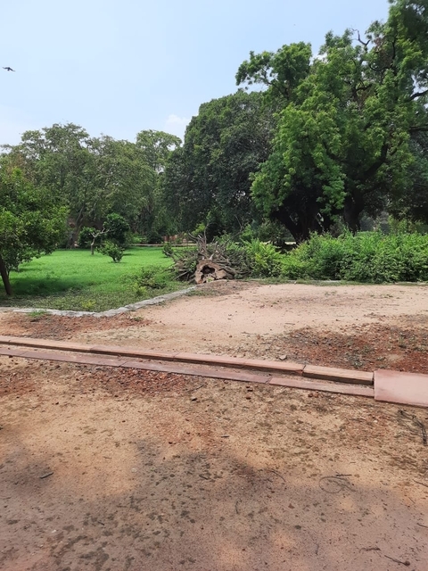       6 Days Golden Triangle Tour with Amritsar from Delhi customer review photo 
  