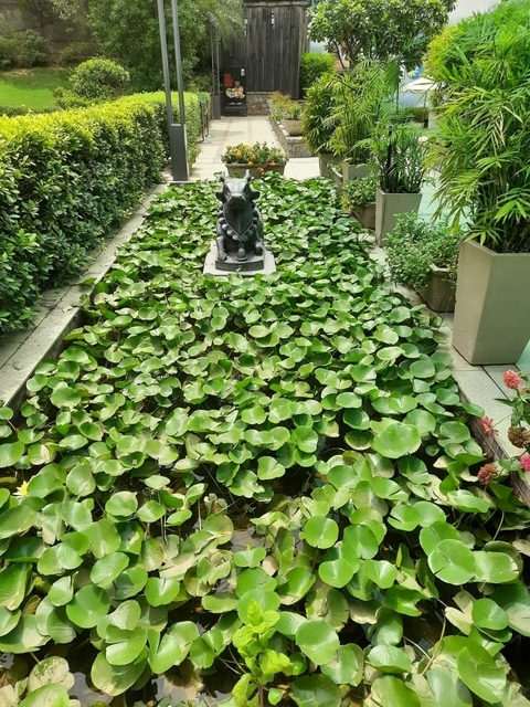       6 Days Golden Triangle Tour with Amritsar from Delhi customer review photo 
  