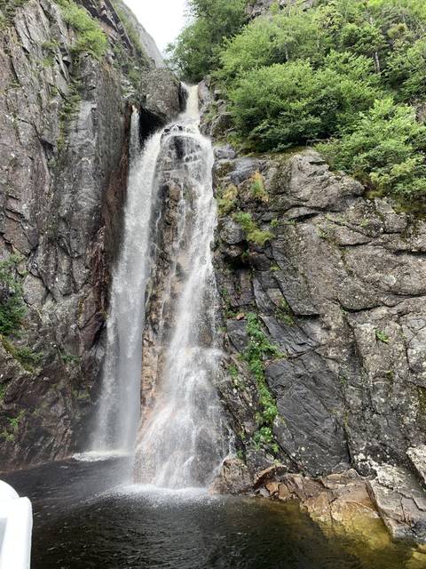 Waterfall cascading down a rocky cliff surrounded by foliage.