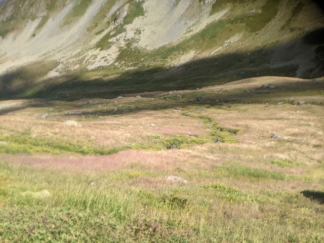 A grassy meadow with a small stream, partially in shadow.