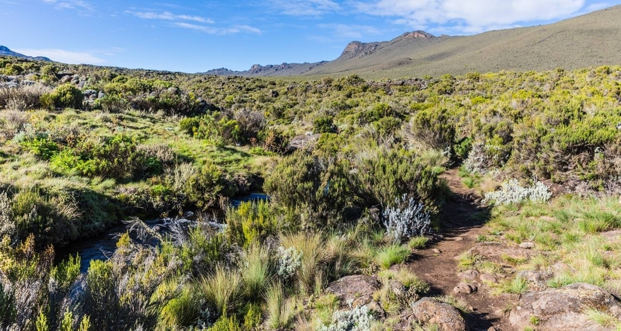 A path through scenic vegetation and hills.
