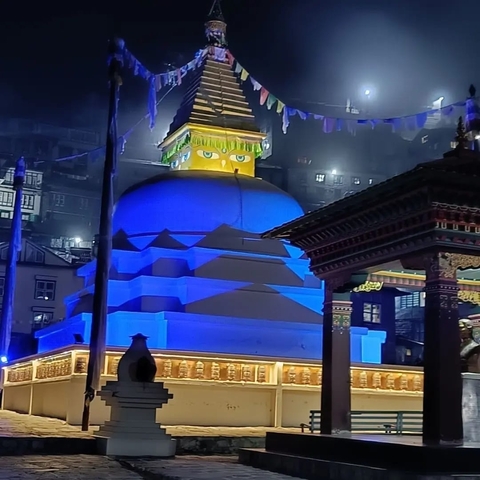       Illuminated stupa at night.
  