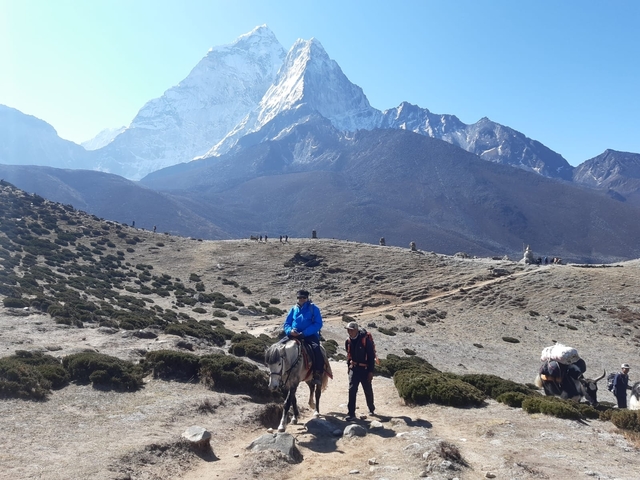       Riders on horses with mountains in the background.
  