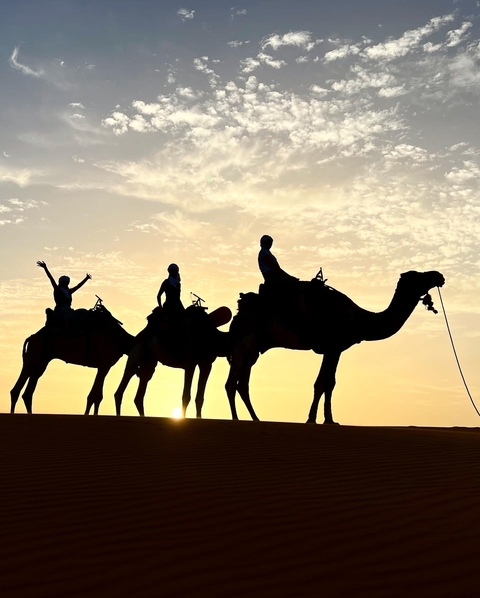 Silhouette of people riding camels at sunset.