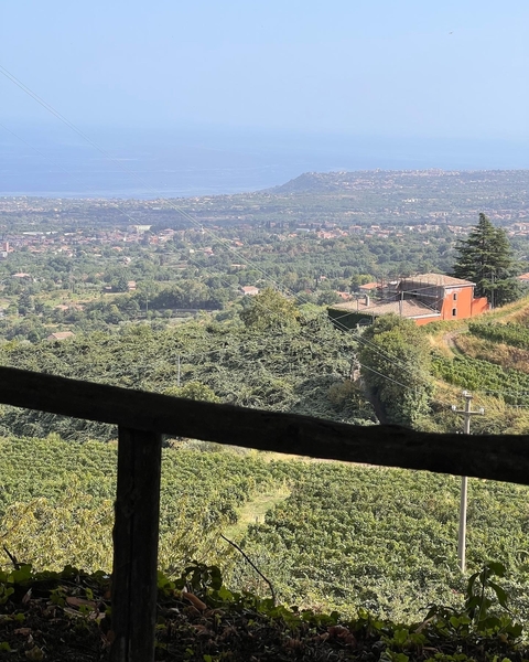 Itinerary Image 3