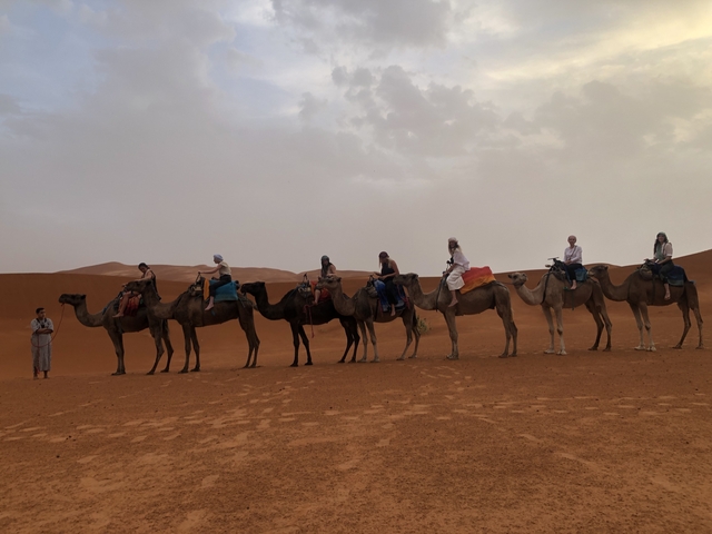       Line of tourists riding camels through a desert landscape.
  