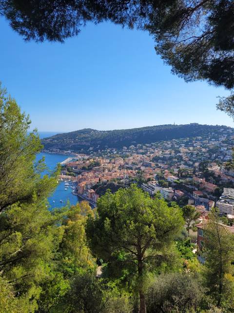 Scenic view of a coastal city with trees and sea, viewed from above.