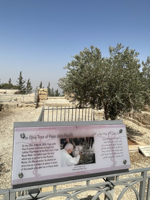       Sign for the olive tree of Pope John Paul II.
  
