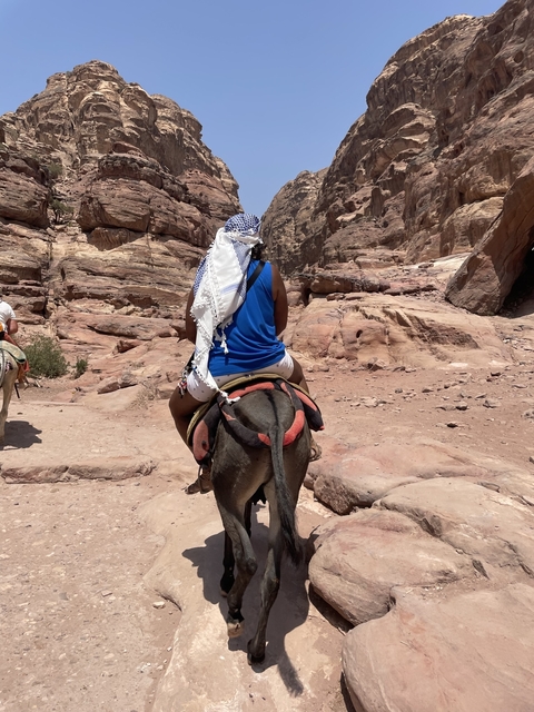      Woman on a donkey in a rocky trail.
  