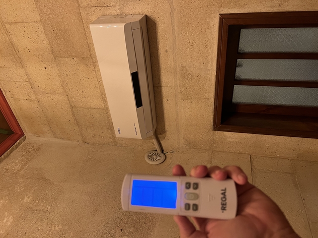       Hand holding remote control next to air conditioner.
  