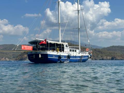       A view of a boat with a Turkish flag on water.
  