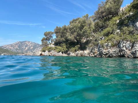 A coastal scene with clear blue water and greenery.